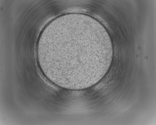 X0000076300848200610161551