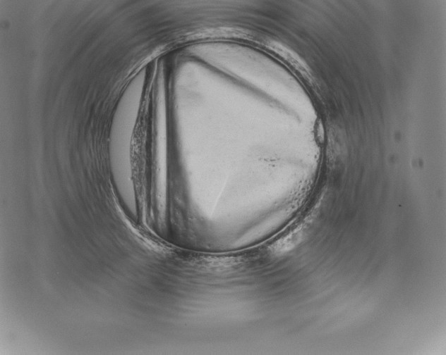 X0000076300849200610161552