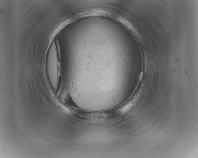 X0000076300850200610161552