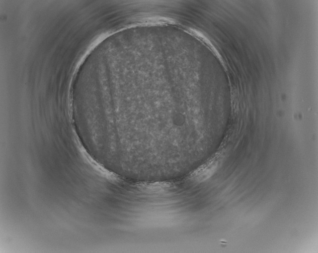 X0000076300851200610161552