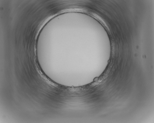 X0000076300852200610161552