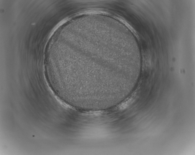 X0000076300853200610161552