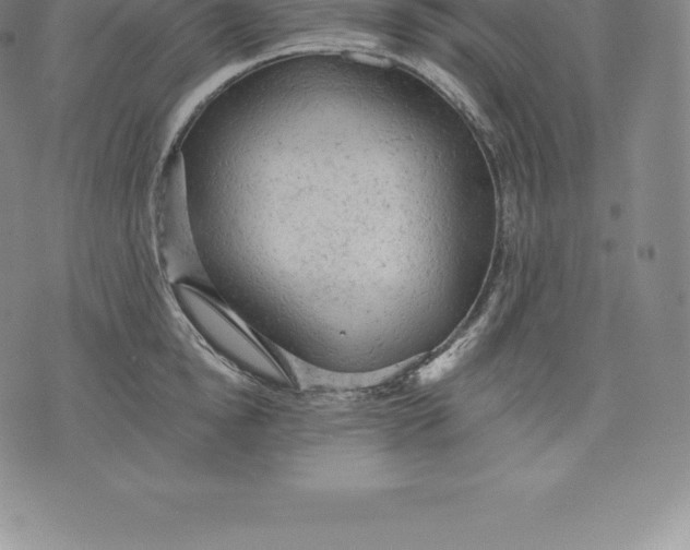 X0000076300854200610161552