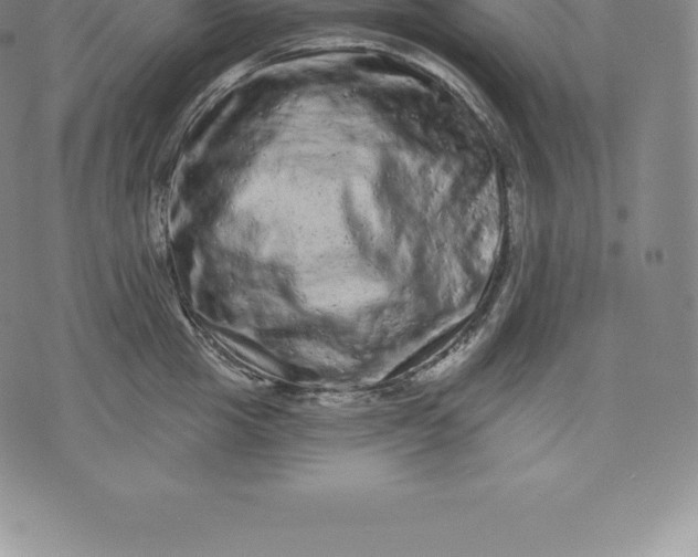 X0000076300857200610161552