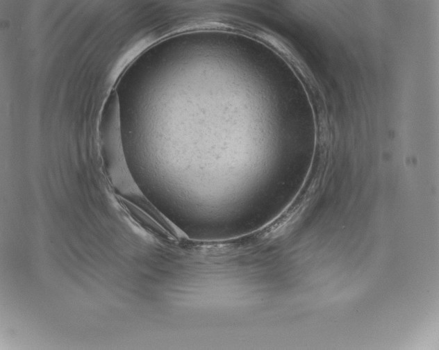 X0000076300858200610161552