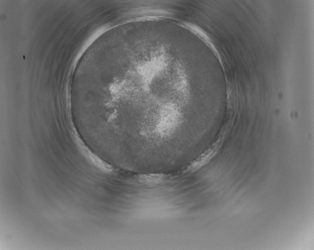 X0000076300859200610161552