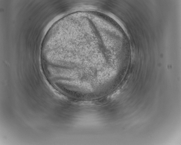 X0000076300861200610161552