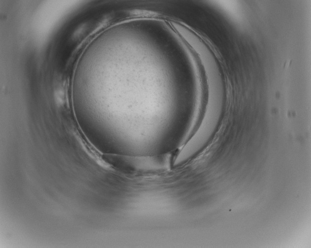 X0000076300862200610161552