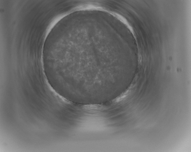 X0000076300863200610161552