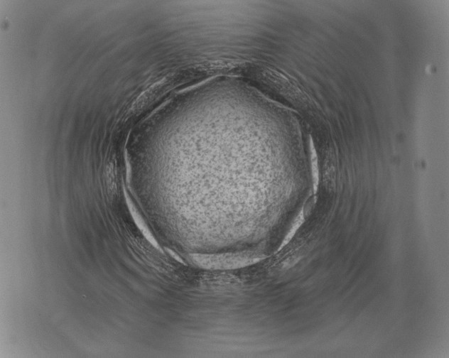 X0000076300866200610161551