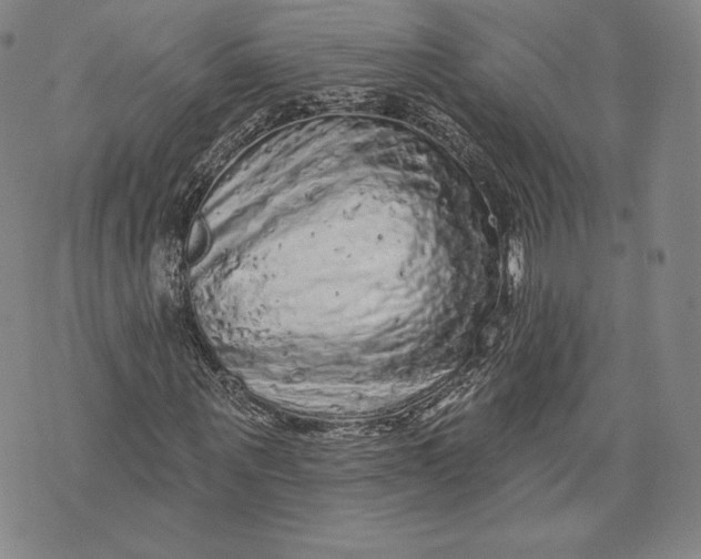 X0000076300867200610161551