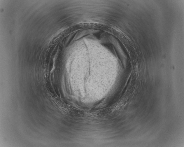 X0000076300870200610161551