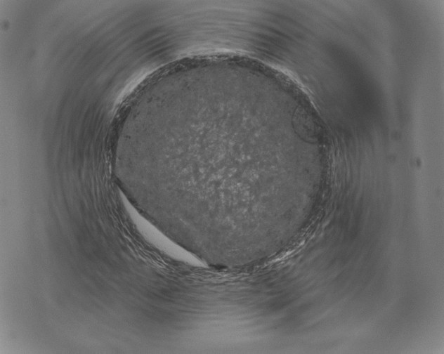 X0000076300871200610161551