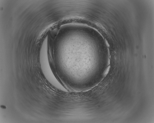 X0000076300872200610161551