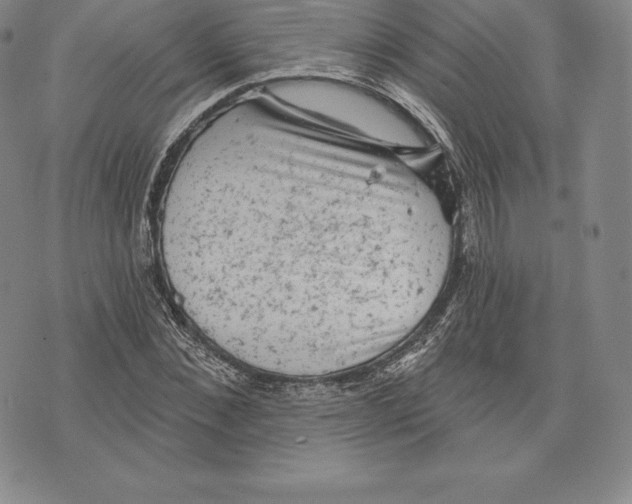 X0000076300876200610161551