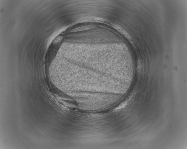 X0000076300877200610161551