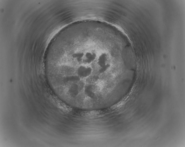 X0000076300879200610161551