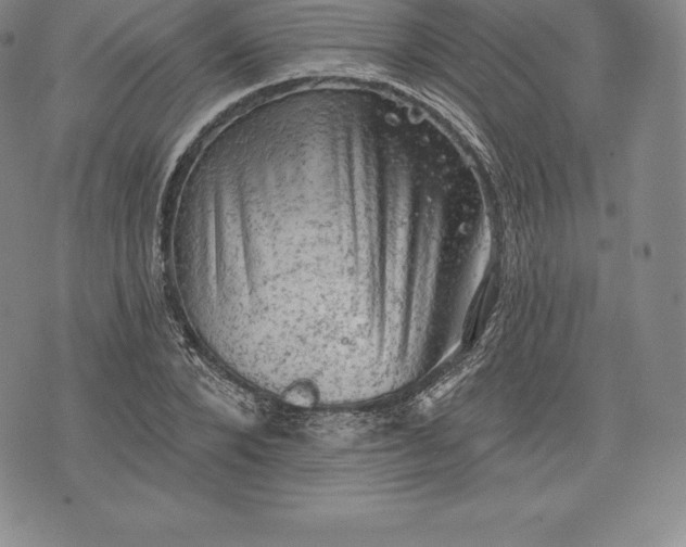 X0000076300880200610161551