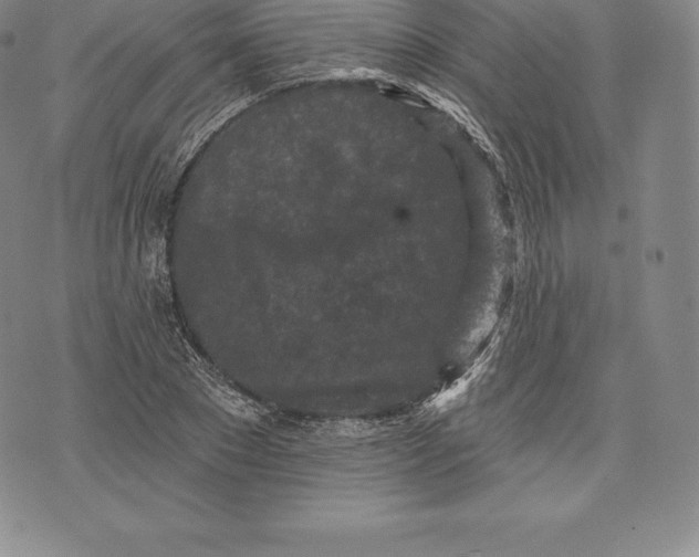 X0000076300881200610161551