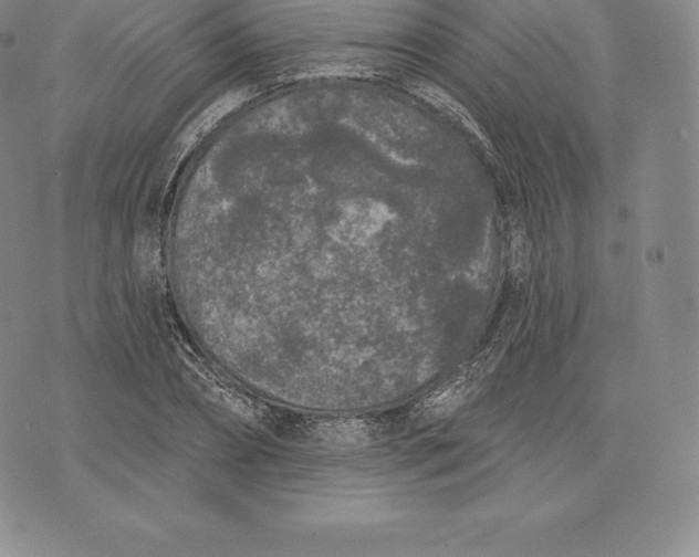 X0000076300882200610161551