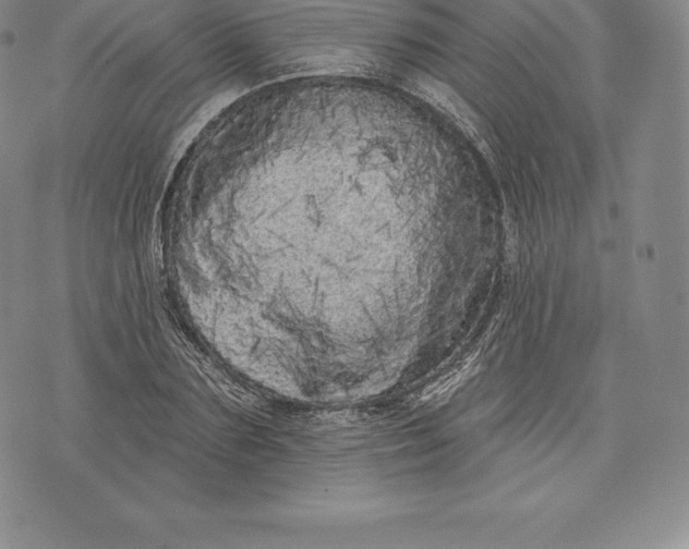 X0000076300883200610161551