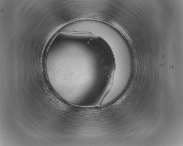 X0000076300884200610161551