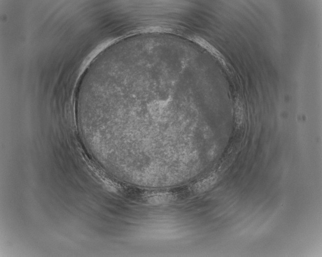 X0000076300886200610161551