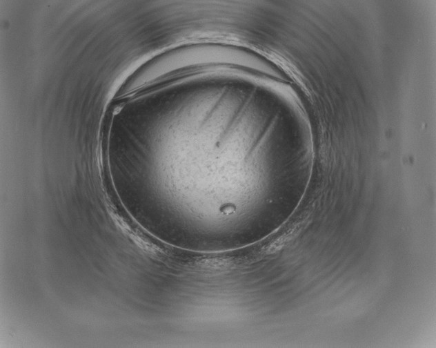 X0000076300888200610161550