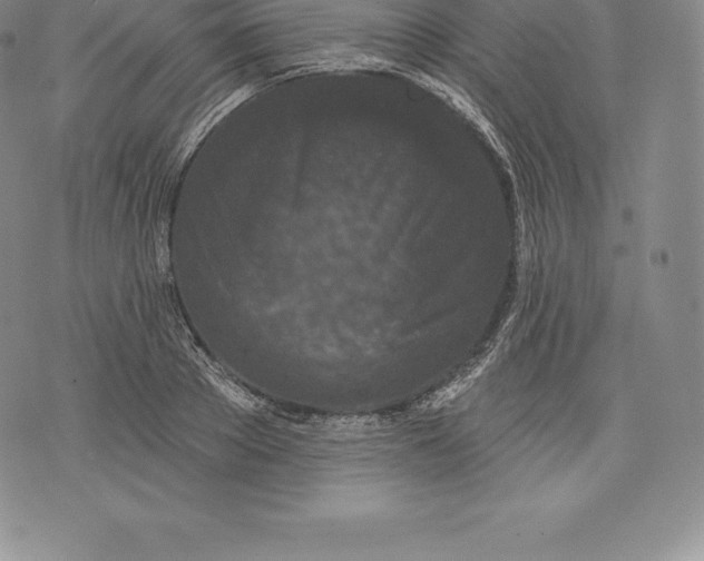 X0000076300889200610161550