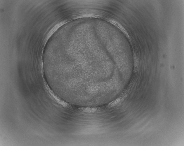 X0000076300890200610161550