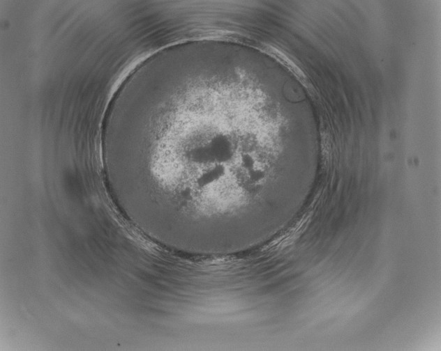 X0000076300891200610161550