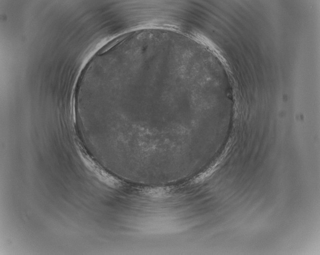 X0000076300892200610161550