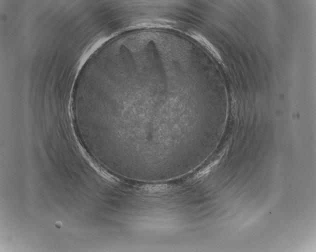 X0000076300893200610161550