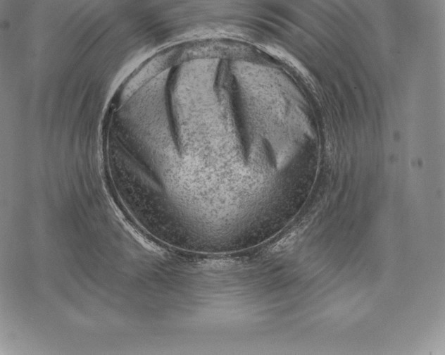 X0000076300894200610161550