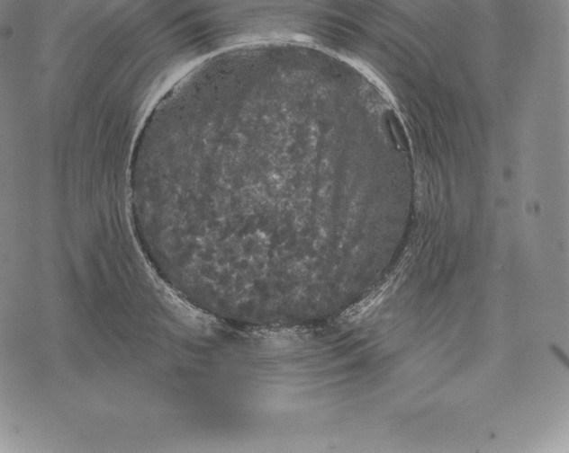 X0000076300895200610161550