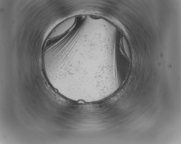 X0000076300896200610161550