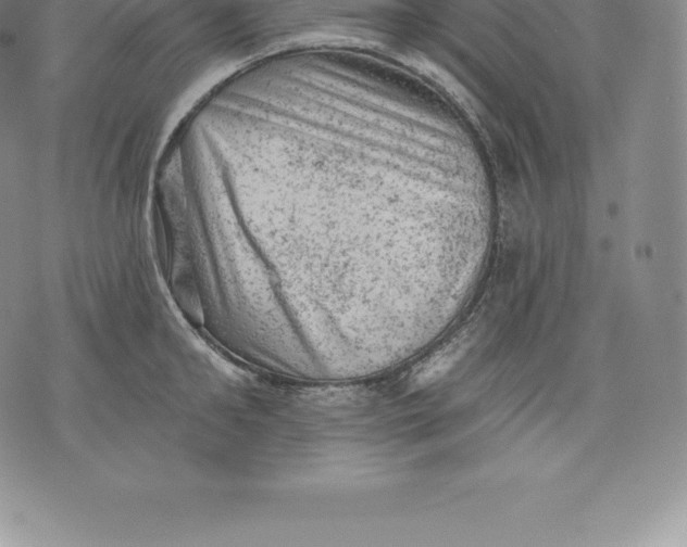 X0000076300902200610161550