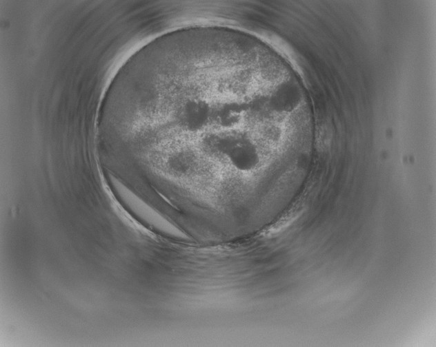 X0000076300903200610161550