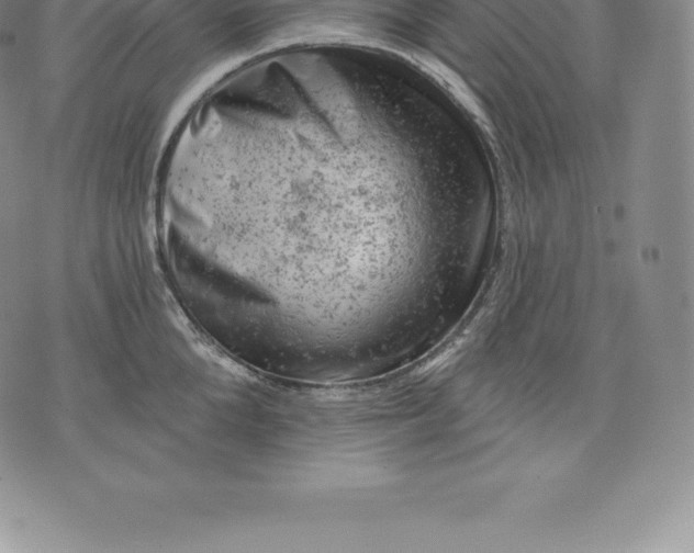 X0000076300904200610161550