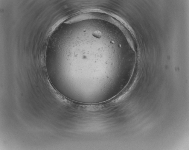 X0000076300905200610161550