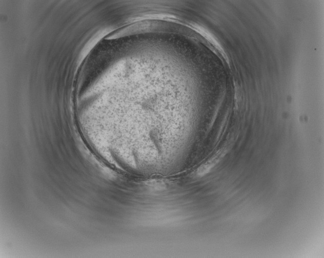 X0000076300906200610161550