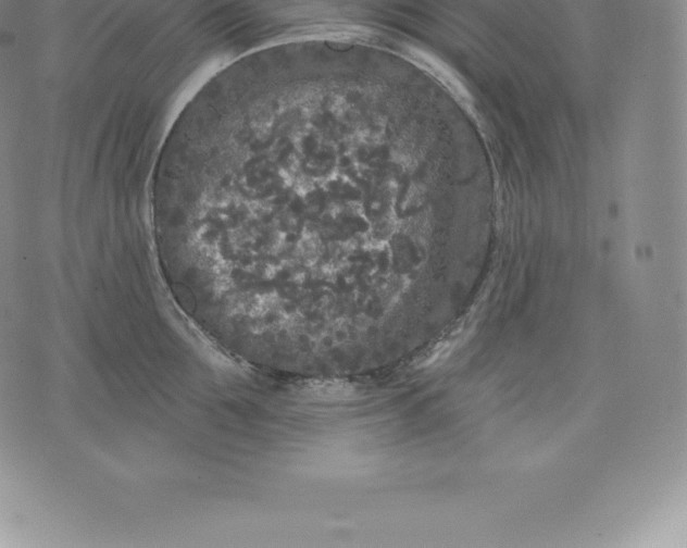 X0000076300907200610161550