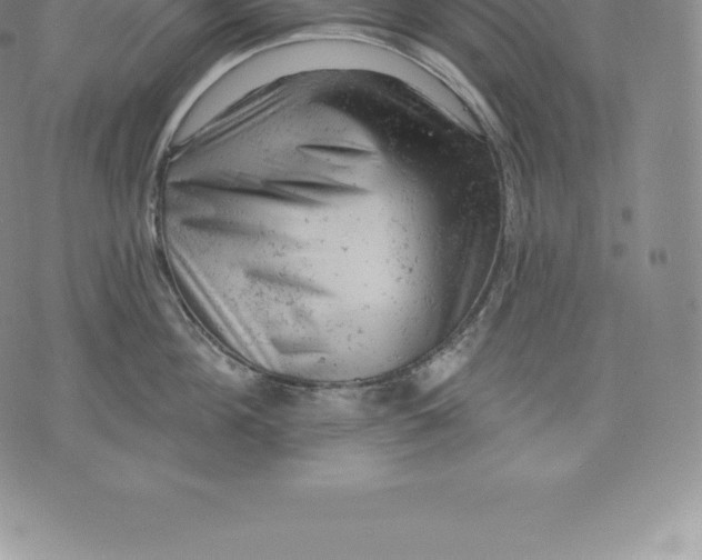 X0000076300908200610161550