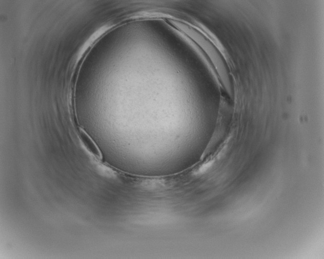 X0000076300909200610161550