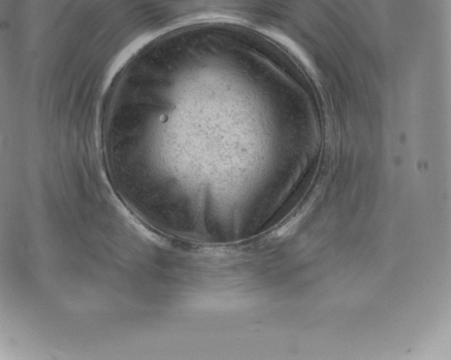 X0000076300910200610161550