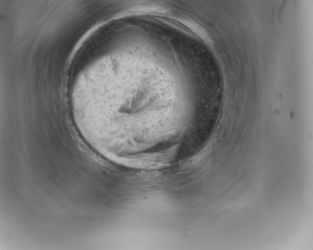 X0000076300912200610161550