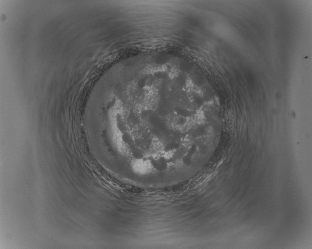 X0000076300913200610161549