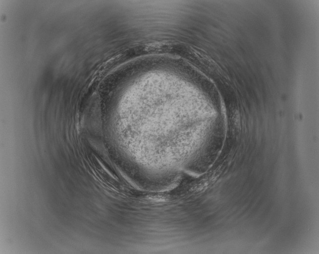 X0000076300914200610161549