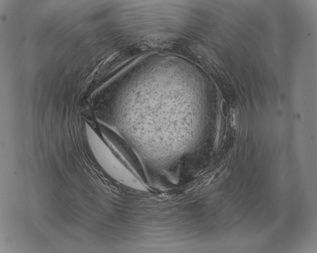 X0000076300915200610161549