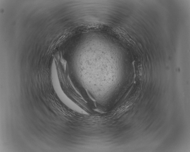 X0000076300916200610161549